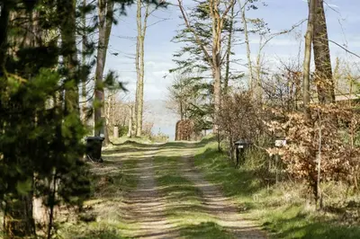 a dirt road through a forest with trees at Authentic Friis & Moltke House In Lundo's Nature in Højslev