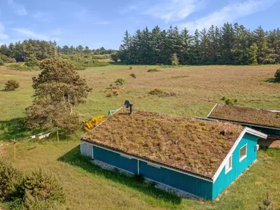 an old house with a grass roof in a field at Green Oasis near Blokhus - By Traum Ferienwohnungen in Blokhus