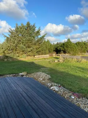 a wooden walkway leading to a field with a tree at Vesterhavsluft Og Natur Ved Nationalpark Thy in Thisted