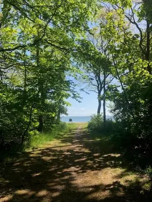 a dirt road with trees on either side of it at Lifestyle Near Sea And Town in Nykøbing Mors