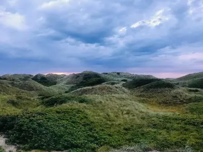 an aerial view of auliculiculiculiculiculiculiculiculiculiculic at Luxury With Pool In Dunes Near Løkken in Løkken