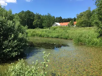 a river in a field with a house in the background at Alt det bedste mellem hav og fjord - en hel bolig in Brovst