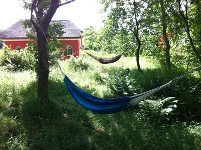 a blue hammock hanging from a tree in a yard at Romance And Sea View At Havbakken in Fjerritslev