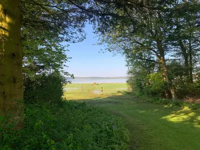 a dirt road with trees and people in a field at Unique location in Thy in Thisted