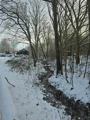 a snow covered field with trees and a creek at Forest House With Stream By Hjarbæk Fjord in Højslev