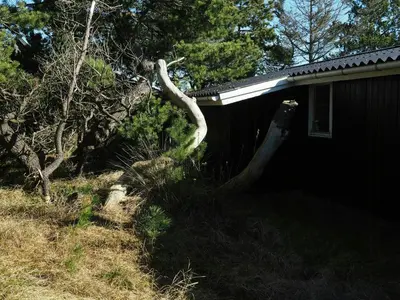 a tree leaning against the side of a house at Traditional Holiday Home At Cold Hawaii in Torsted
