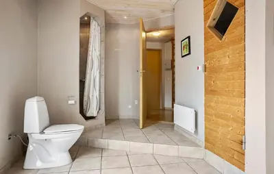 a bathroom with a toilet and a walk in shower at Cozy Home In Spøttrup With Sauna in Spottrup