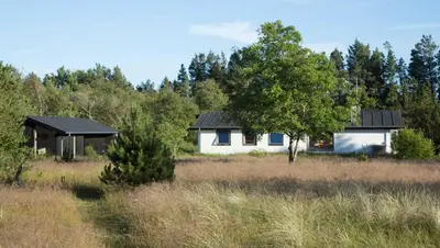 a house in the middle of a field with trees at Dune House Near Bulbjerg in Frøstrup