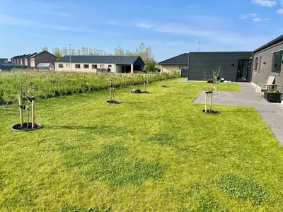a garden with trees in the middle of the grass at Moderne bynært hus in Holstebro