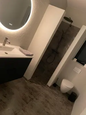 a bathroom with a shower and a sink and a toilet at Moderne bynært hus in Holstebro