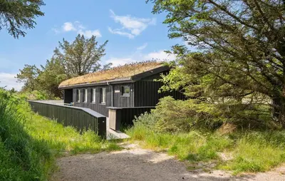 a black building with a grass roof on a field at 4 Bedroom Cozy Home In Saltum in Saltum