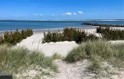 a sandy beach with grass and the ocean in the background at Cozy Home In Thyborøn With Wifi in Thyborøn