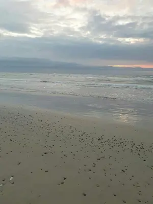 a beach with a lot of footprints in the sand at Modern House Close To The North Sea in Tranum