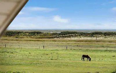 a horse grazing in a field of grass at Gorgeous Home In Vestervig With Wifi in Vestervig