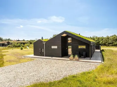 a small black house with a grass roof at Laustvej 3 in Saltum