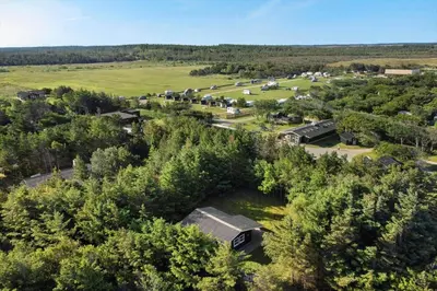 an aerial view of a farm with trees and houses at 1067-Thisted-Gra-Rimme-7 in Torsted