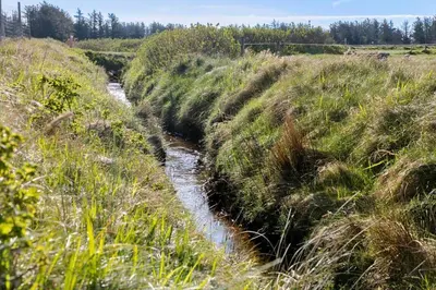 a small stream in a field with tall grass at 1017-Thisted-Hvidbakken-17 in Torsted