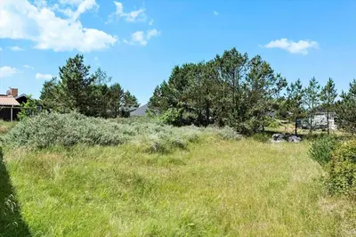 a field of grass with trees in the background at 314-Thisted-Mose-Bollevej-14 in Thisted