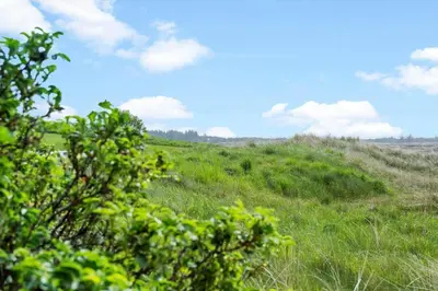 a field of grass with a blue sky and clouds at 161-Hanstholm-Kraegpotvej-161 in Hanstholm