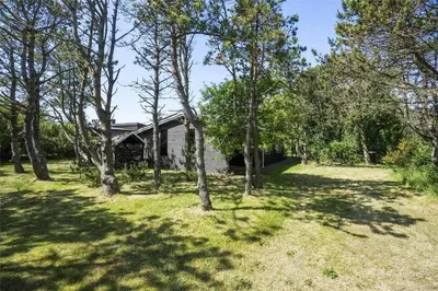 a yard with trees in front of a house at 982-Thisted-Clemmessti-16 in Torsted