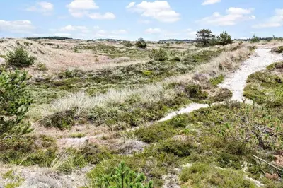 a dirt road in a field with grass and bushes at 596-Thisted-Blabaervej-15 in Thisted
