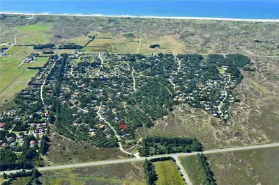 an aerial view of a village with trees and the ocean at 873-Thisted-Blamunkevej-67 in Thisted