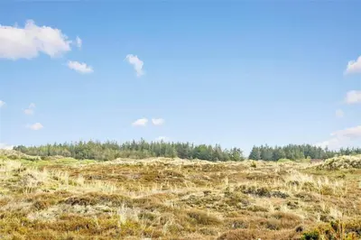 a grassy field with trees in the background at 409-Thisted-Flyndervej-8 in Thisted