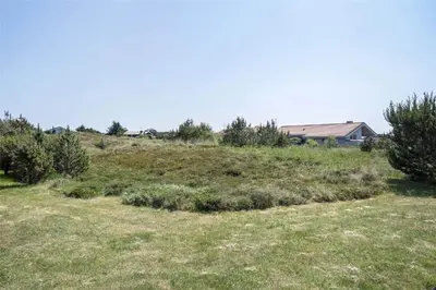 a grassy hill with trees and a house on it at 969-Thisted-Klitstien-50 in Torsted