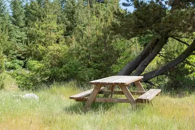 a wooden picnic table in the grass next to a tree at 638-Thisted-Lyngvej-6 in Thisted
