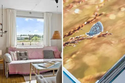 two pictures of a living room with a butterfly on a painting at 240-Thisted-Hummervej-10 in Thisted