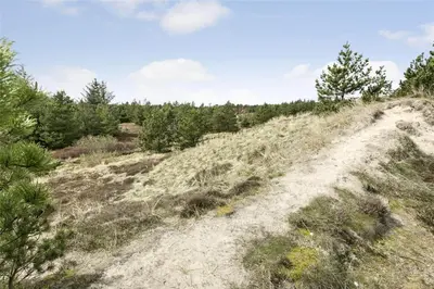 a dirt road in a field with trees at 929-Thisted-Brandisvej-19 in Torsted