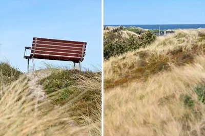 a park bench sitting on top of a sand hill at 1062-Thisted-Mombak-45 in Torsted
