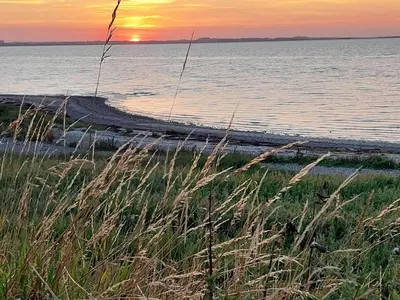a sunset over a beach with tall grass in the foreground at Holiday home for family in Denmark in Løgsted