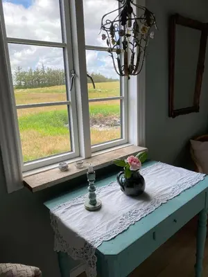 a table with a vase on it next to a window at Lykkeholms Bella Vista in Spottrup