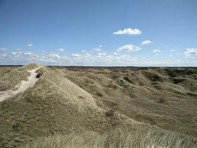 an empty field with grass and a blue sky at 12 person holiday home in Pandrup-By Traum in Pandrup