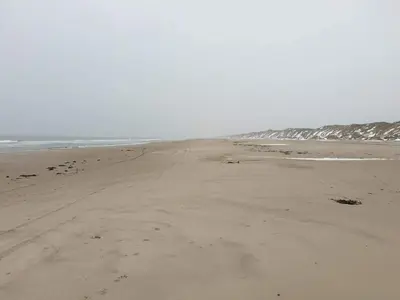 an empty beach with footprints in the sand at 8 person holiday home in Saltum-By Traum in Saltum