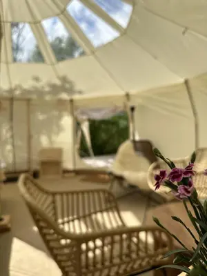 a room with chairs and a vase with a flower at Agger Glamping - Havtornen in Vestervig