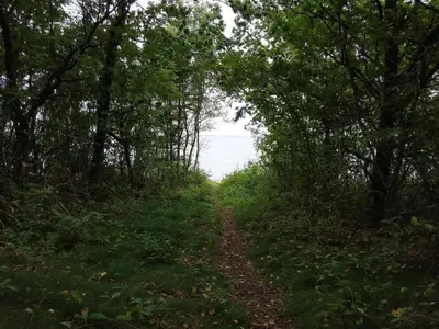 a path through a forest with the ocean in the background at 5 person holiday home in Roslev-By Traum in Roslev