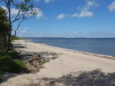 a sandy beach with a tree and water at 5 person holiday home in Roslev-By Traum in Roslev