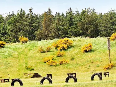 a grassy field with a hill with trees at 8 person holiday home in Brovst-By Traum in Brovst