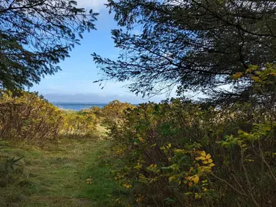 a path through trees with the ocean in the background at 6 person holiday home in Thyholm-By Traum in Thyholm