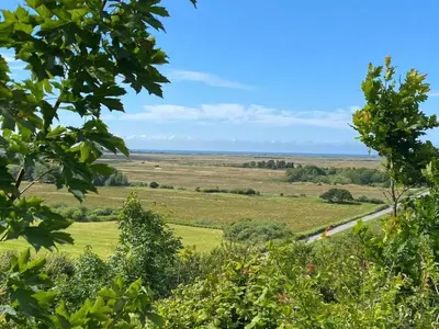 a view of a field from a tree at 16 person holiday home in Brovst-By Traum in Brovst