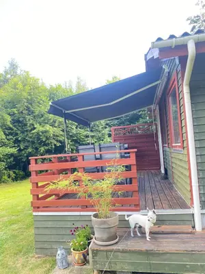 a dog standing on the porch of a house at Ålevænget 1 in Gedsted