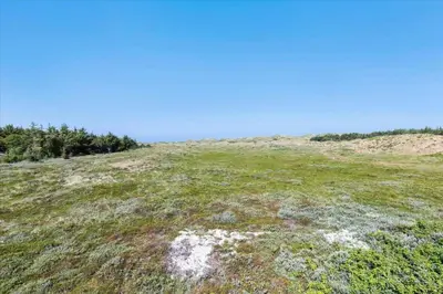 a grassy hill with trees on top of it at BL1736-Blokhus-Slettevej-3 in Blokhus