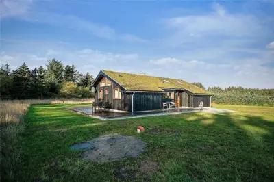 a house with a grass roof on a field at BL1611-Saltum-Trehoje-3 in Saltum