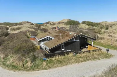 a black house on the side of a hill at BL771-Saltum-Egernvej-36 in Saltum