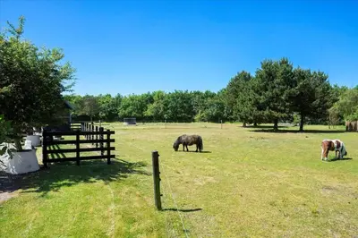 two horses grazing in a field next to a fence at BL1674-Pandrup-Kystvejen-19 in Pandrup