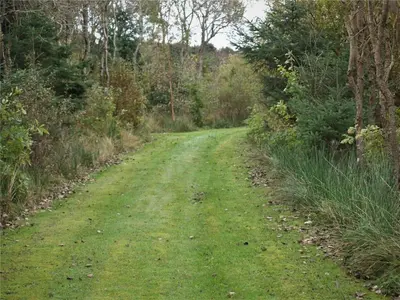a dirt road with grass and trees on both sides at BL1674-Pandrup-Kystvejen-19 in Pandrup
