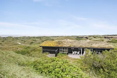 a black house with a grass roof on a field at BL216-Saltum-Svendborgvej-25 in Saltum