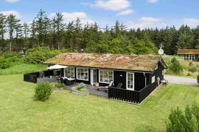 a black house with a grass roof at BL653-Saltum-Nordvestvej-27 in Saltum